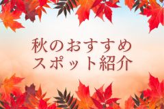 秋の伊豆観光スポット｜河津温泉から行く紅葉と秋バラの絶景めぐり