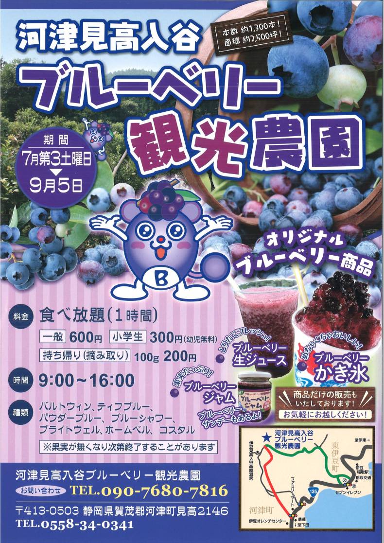 ブルーベリー観光農園のご案内