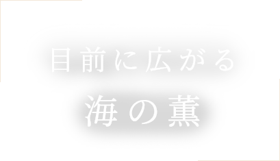 目前に広がる海の薫