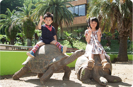 体感型動物園iZoo（イズー）