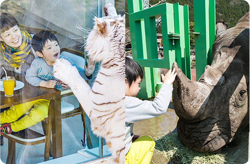 伊豆アニマルキングダム